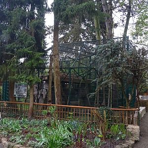 Black + ring-tailed lemur enclosure