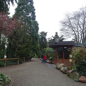 Tiger enclosure left, small monkeys right