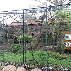 Emperor tamarin enclosure