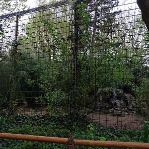 Tiger enclosure