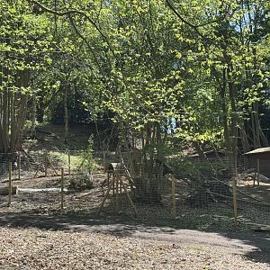 Path and enclosure construction