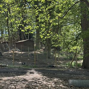 Path and enclosure construction