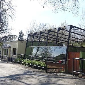 Spider monkey enclosure