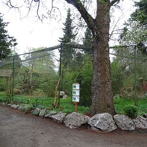 Kestrel / burrowing owl / prairie dog enclosure