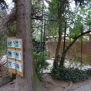 South America aviary