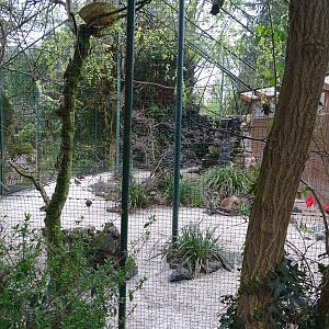 South America aviary
