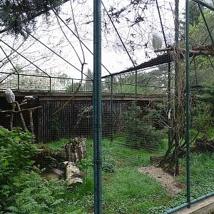 Aviary for snowy owls