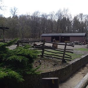 Camel and porcupine enclosures