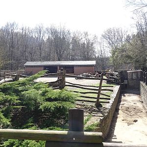 Camel and porcupine enclosures