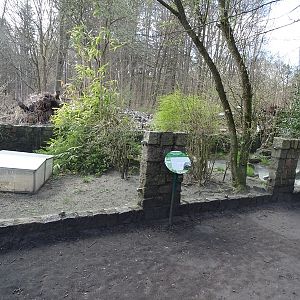 Tortoise enclosure