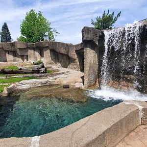 Black/Grizzly Bear Pool