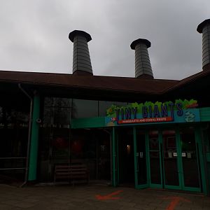 View of Tiny Giants building 11.2.25