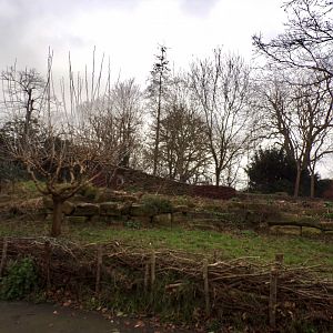 Wildlife area 11.2.25