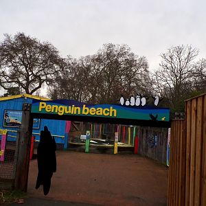 Penguin beach entrance 11.2.25