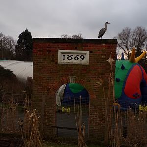 Remains of former Parrot House 11.2.25