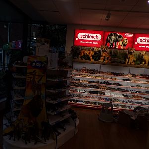 Papo and Schleich in one gift shop?? 11.2.25