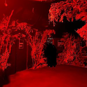 View inside Nocturnal House 12.2.25