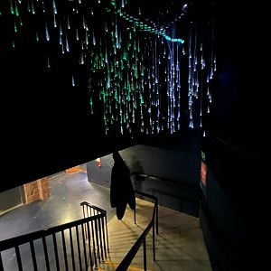 Stairs down to Nocturnal House 12.2.25