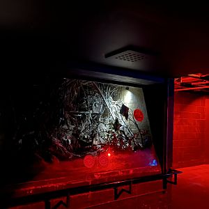 Tree shrew enclosure 11.2.25