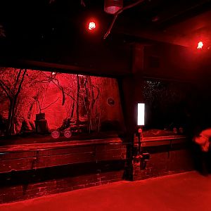 Example of nocturnal primate enclosures 11.2.25