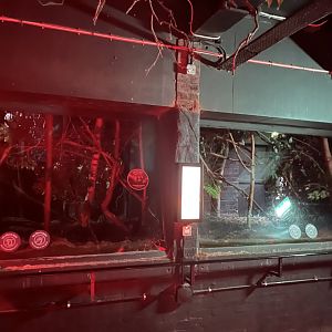 Example of nocturnal primate enclosures 11.2.25