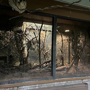 Bokyboky enclosure 11.2.25