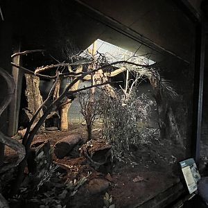 Bokyboky enclosure 11.2.25