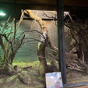 Bokyboky enclosure 11.2.25