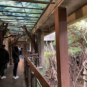 Viewing area for Amazon area 11.2.25