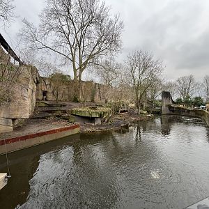 Asiatic lion enclosure 0.5 11.2.25