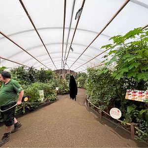 Butterfly house 11.2.25