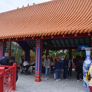 Golden monkeys enclosure