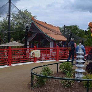 Golden monkeys enclosure