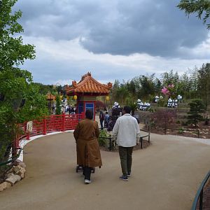 Golden monkeys enclosure