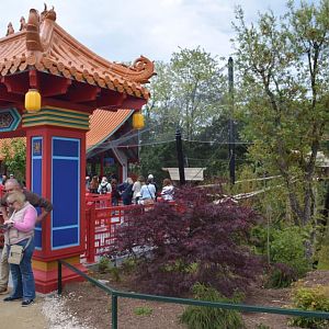 Golden monkeys enclosure