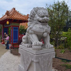 Golden monkeys enclosure