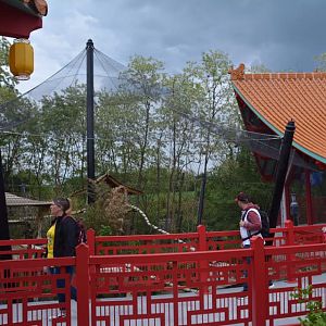 Golden monkeys enclosure