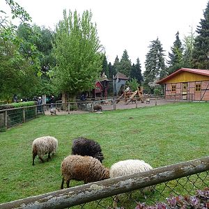 Sheep enclosure