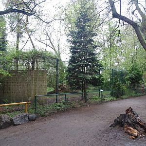 Cheetah enclosure