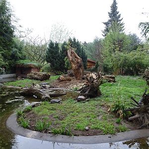Otter enclosure