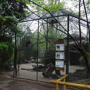Aviary for striped squirrels and tragopan