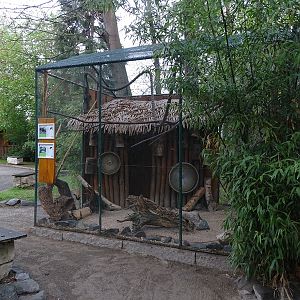Aviary for striped squirrels and tragopan