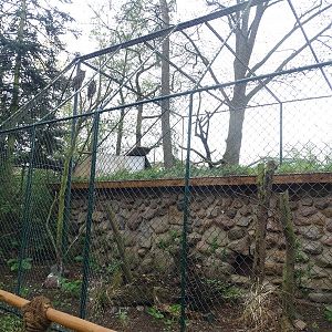 Aviary for great horned owl