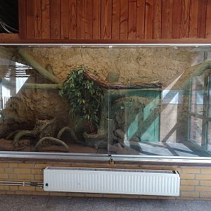 Tropical enclosure: Turtle enclosure