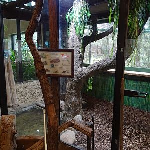 Tropical House: Python enclosure