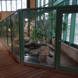 Tropical house: crocodile enclosure