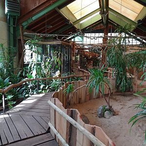 Tropical House; empty tortoise enclosure