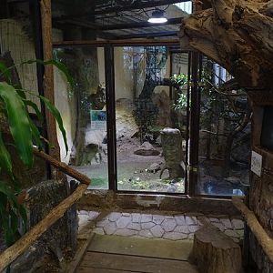 Tropical house: Bobwhite and tortoise enclosure