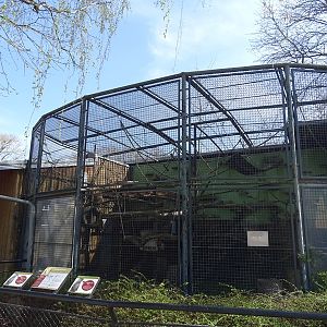 Gibbon enclosure