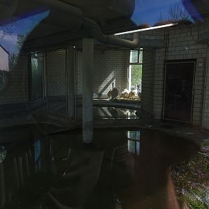 Great pelican indoor enclosure